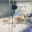 메이 동물병원 이미지