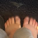 진실이네식당 | 이탈리아여행 : 로마 1일차 후기 (콜로세움,나보나광장,트레비분수,진실의입,판테온)