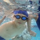 어푸어푸 이미지