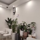 영커피 군산나운점 이미지