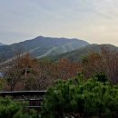 용인자연휴양림 이미지