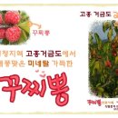 골드온누리 이미지