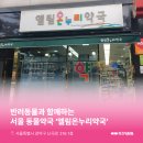 엘림온누리약국 이미지