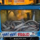 강변꼼장어쭈꾸미