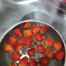 소이의 딸기와 모닝빵의 만남♡ 이미지