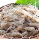 갑각류도감 - 새우류 - 징거미새우科 - 줄새우 이미지