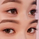 영광안경매니져 이미지