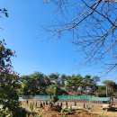 은봉목장 이미지