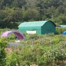 죽곡농장 이미지