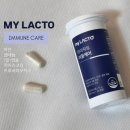 마이댕댕(My.d,d) | 면역유산균 영양제 추천｜마이락토 이뮨케어 먹어본 후기