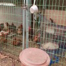 금풍농장 이미지