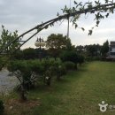 두리펜션 이미지