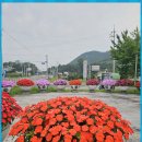 영덕04 Daum카페