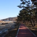 칠곡면신포숲 이미지