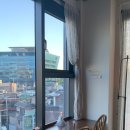 엘리트서울(Elite Seoul)