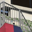 평생학습관(본관) 댄스실 | 다양한 휴식-