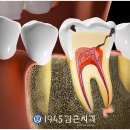1945김근치과의원 이미지