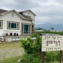 용우네 이미지