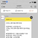 낭만고냥이 이미지