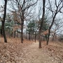 슬기어린이공원 이미지