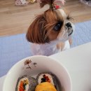 도토리김밥 이미지