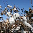 산청우리약국 이미지