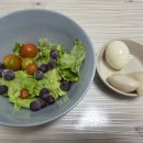 전라북도 서울장학숙 구내식당 | 260719~0725 일상