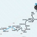 제주토리