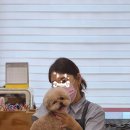 안나 제니 펫샵 이미지