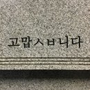 [제주도] 혼술바 내돈내산 후기(캔디포유 캔디시그널, 자유의지, 곁)