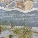 장흥주