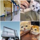 울림 반려견 교육센터 이미지