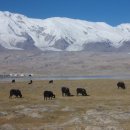 실크로드민박 이미지