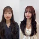 프리미엄 헤드스파로 유명한 청담 미용실 박준뷰티랩 청담점