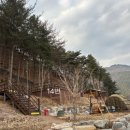 GS25평창방림점 | [세 번째 캠핑] 2박 3일 평창 국민여가 캠핑장(14번) 눈 내리는 평창에서 ☃️🤍