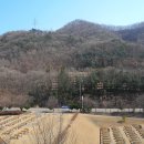 미곡2리 이미지