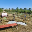 에스에이치팜 | 경산시 팜앤그린 우녹스 오븐 납품 후기