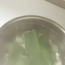 로기네 Daum카페