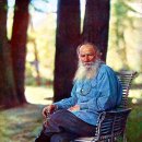 러시아의 아버지, 톨스토이 이미지