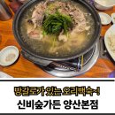 신비PC | 물금 몸보신 오리백숙 방갈로가 있는 신비숲가든 양산본점