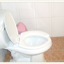 서지농원 이미지