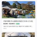 코알라캠핑장 이미지