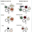 조선두부 이미지