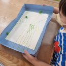 오르세미술교습소 이미지