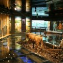 회현농업 이미지