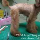 마린시티 종합동물병원 이미지