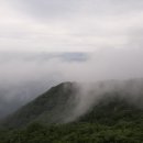 절터골2 이미지