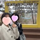 도시정보통합센터 앞 | [원주] "소금산 그랜드밸리" 관광 정보 총정리: 원주 시티투어 버스로 편하게 출렁다리 다녀왔어요