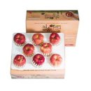 햇살이네 이미지