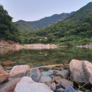 향림오토캠핑장 티스토리